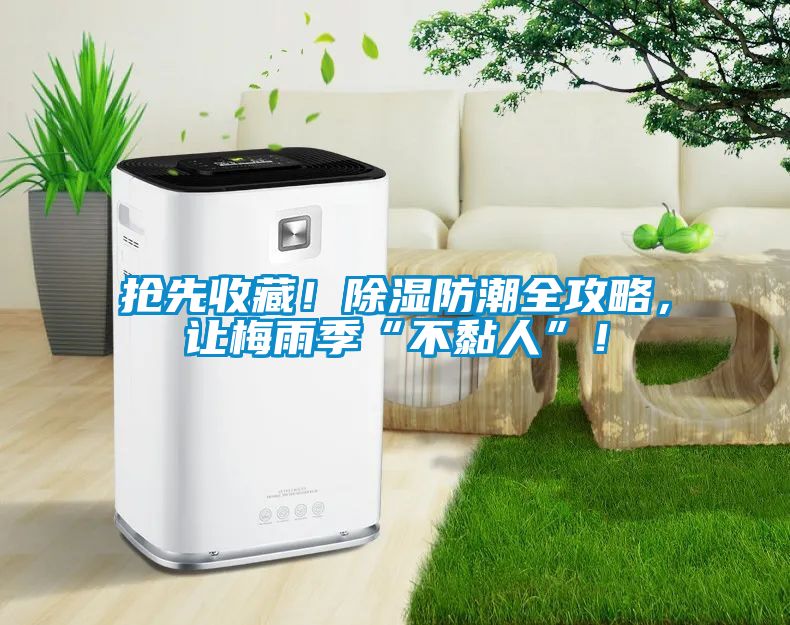 搶先收藏！除濕防潮全攻略，讓梅雨季“不黏人”！