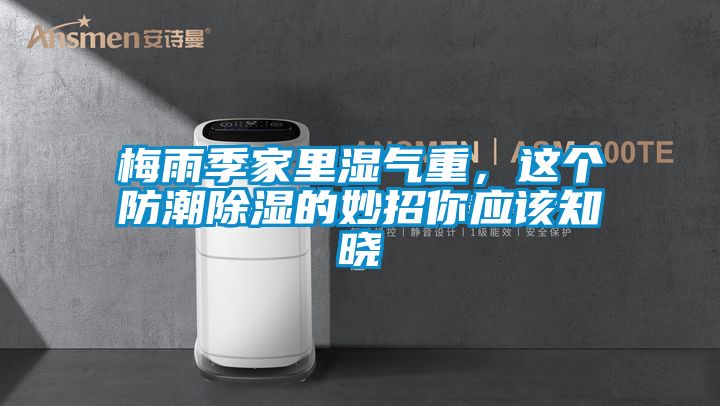 梅雨季家里濕氣重，這個(gè)防潮除濕的妙招你應(yīng)該知曉