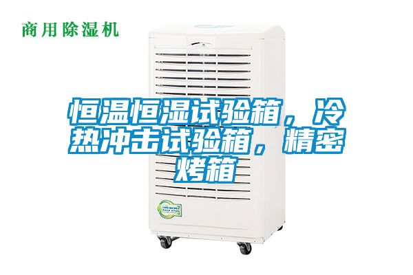 恒溫恒濕試驗箱，冷熱沖擊試驗箱，精密烤箱