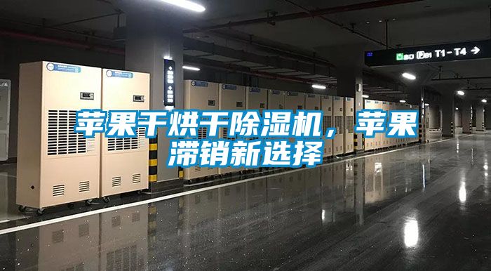 蘋果干烘干除濕機(jī)，蘋果滯銷新選擇