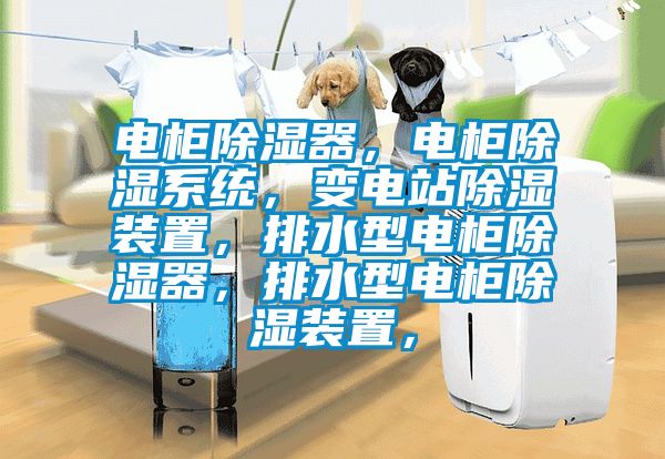 電柜除濕器，電柜除濕系統(tǒng)，變電站除濕裝置，排水型電柜除濕器，排水型電柜除濕裝置，