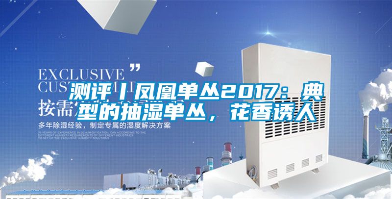測評丨鳳凰單叢2017：典型的抽濕單叢，花香誘人