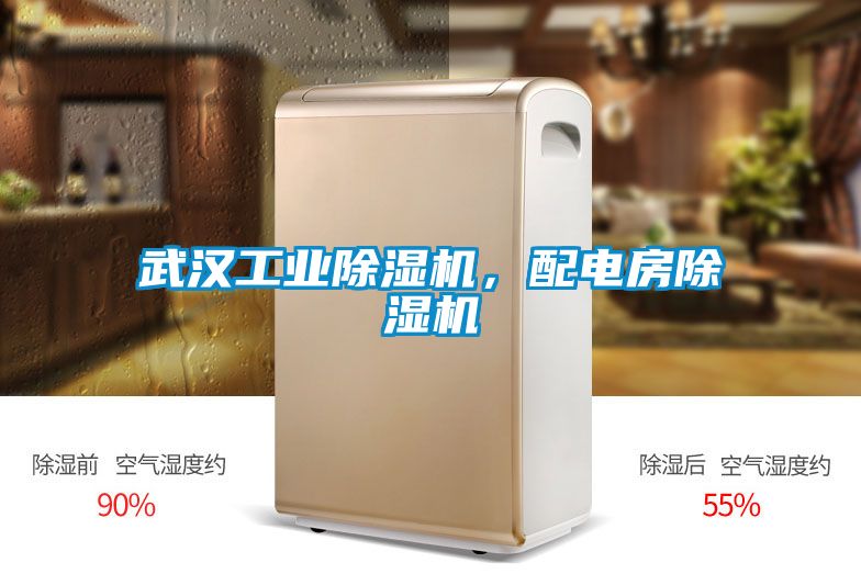 武漢工業(yè)除濕機(jī)，配電房除濕機(jī)