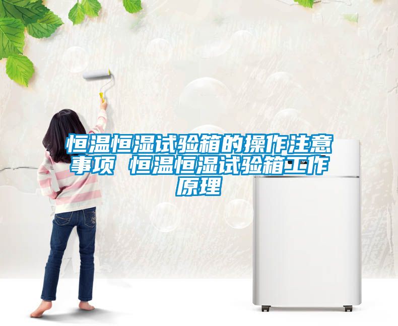 恒溫恒濕試驗(yàn)箱的操作注意事項 恒溫恒濕試驗(yàn)箱工作原理