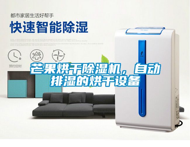 芒果烘干除濕機(jī)，自動(dòng)排濕的烘干設(shè)備