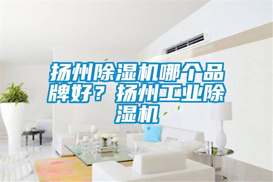 揚州除濕機哪個品牌好？揚州工業(yè)除濕機