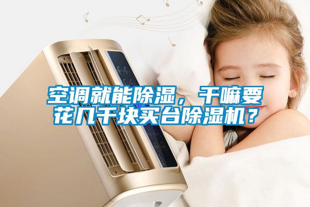 空調(diào)就能除濕，干嘛要花幾千塊買臺除濕機(jī)？
