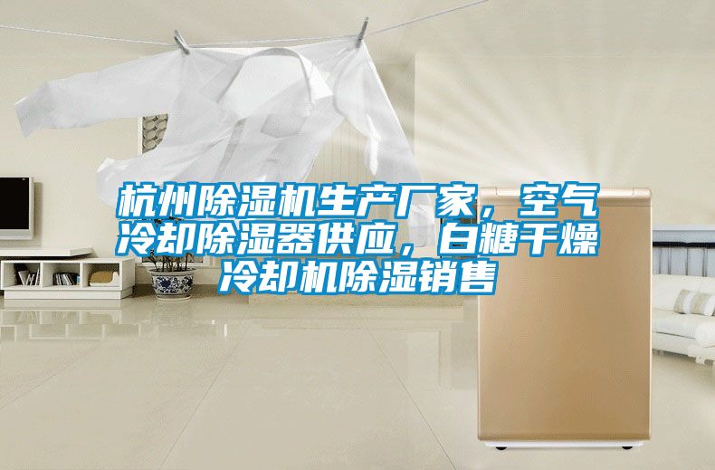 杭州除濕機(jī)生產(chǎn)廠家，空氣冷卻除濕器供應(yīng)，白糖干燥冷卻機(jī)除濕銷售
