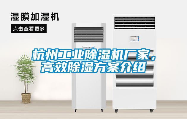 杭州工業(yè)除濕機(jī)廠家，高效除濕方案介紹