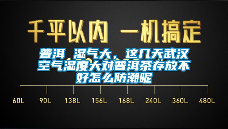 普洱 濕氣大，這幾天武漢空氣濕度大對(duì)普洱茶存放不好怎么防潮呢