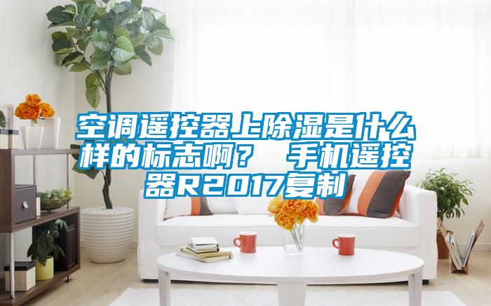 空調(diào)遙控器上除濕是什么樣的標志??？ 手機遙控器R2017復制