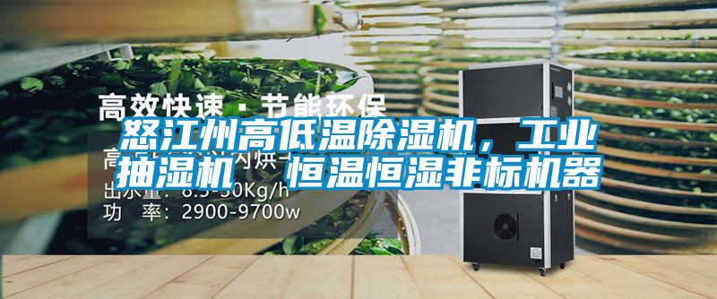 怒江州高低溫除濕機，工業(yè)抽濕機  恒溫恒濕非標機器