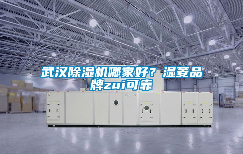 武漢除濕機(jī)哪家好？濕菱品牌zui可靠