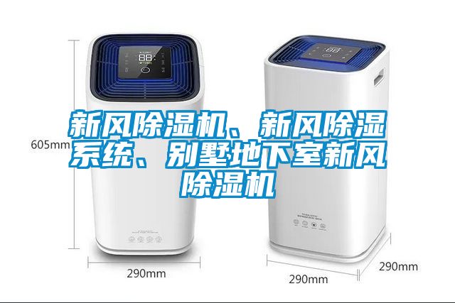 新風(fēng)除濕機(jī)、新風(fēng)除濕系統(tǒng)、別墅地下室新風(fēng)除濕機(jī)