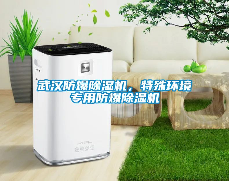 武漢防爆除濕機，特殊環(huán)境專用防爆除濕機