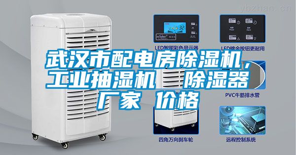 武漢市配電房除濕機(jī)，工業(yè)抽濕機(jī)  除濕器廠家 價(jià)格