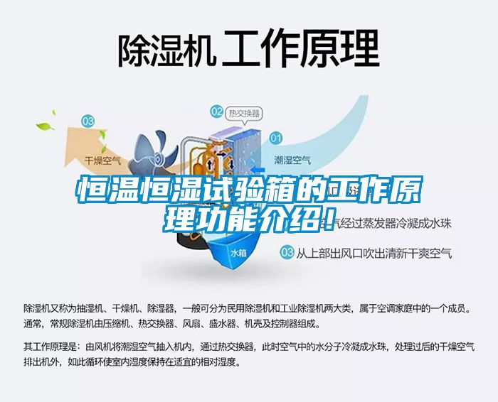 恒溫恒濕試驗箱的工作原理功能介紹！