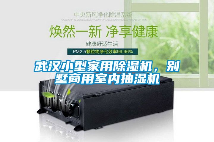 武漢小型家用除濕機，別墅商用室內(nèi)抽濕機