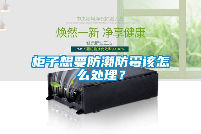 柜子想要防潮防霉該怎么處理？
