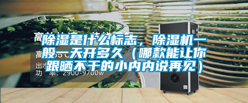 除濕是什么標志，除濕機一般一天開多久（哪款能讓你跟曬不干的小內(nèi)內(nèi)說再見）