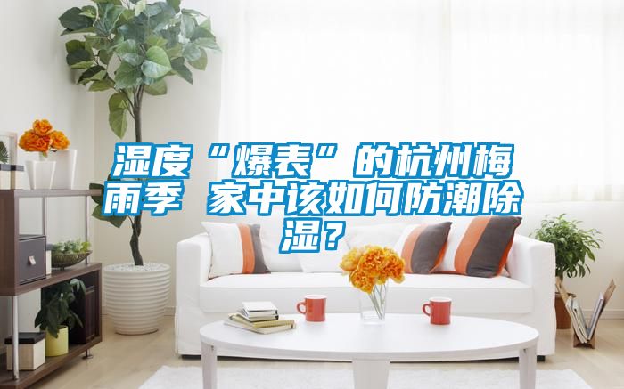 濕度“爆表”的杭州梅雨季 家中該如何防潮除濕？