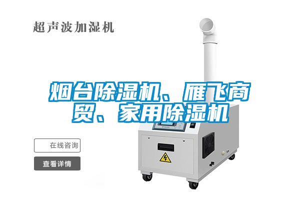 煙臺除濕機、雁飛商貿(mào)、家用除濕機