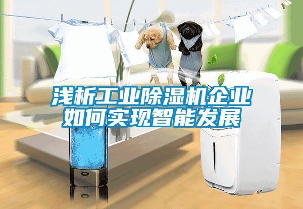 淺析工業(yè)除濕機企業(yè)如何實現智能發(fā)展