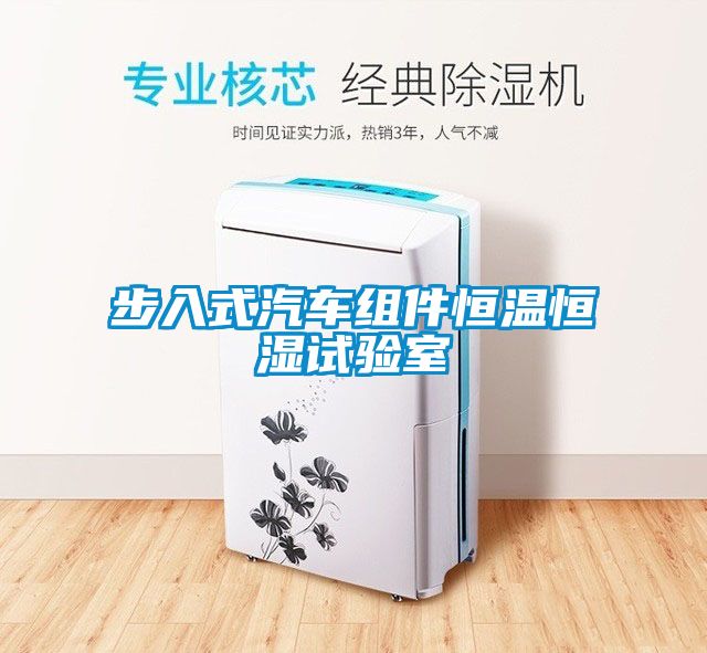 步入式汽車(chē)組件恒溫恒濕試驗(yàn)室