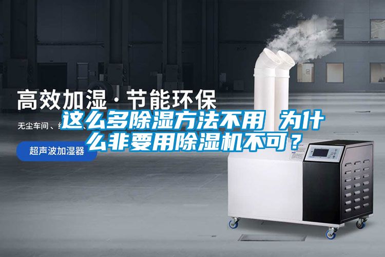 這么多除濕方法不用 為什么非要用除濕機(jī)不可？