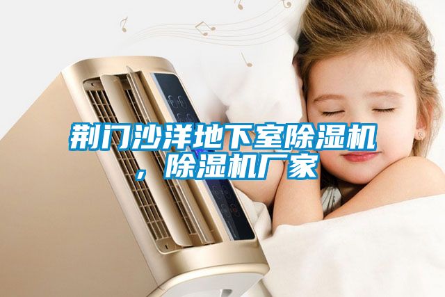 荊門沙洋地下室除濕機(jī)，除濕機(jī)廠家
