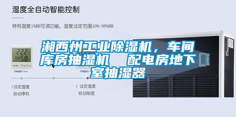 湘西州工業(yè)除濕機(jī)，車間庫(kù)房抽濕機(jī)  配電房地下室抽濕器