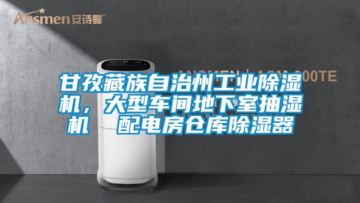 甘孜藏族自治州工業(yè)除濕機(jī)，大型車間地下室抽濕機(jī)  配電房倉(cāng)庫(kù)除濕器