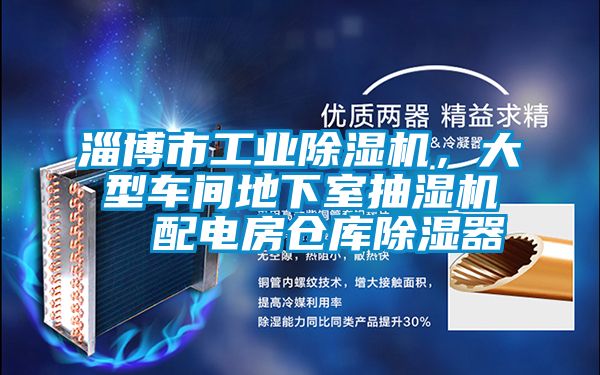 淄博市工業(yè)除濕機，大型車間地下室抽濕機  配電房倉庫除濕器