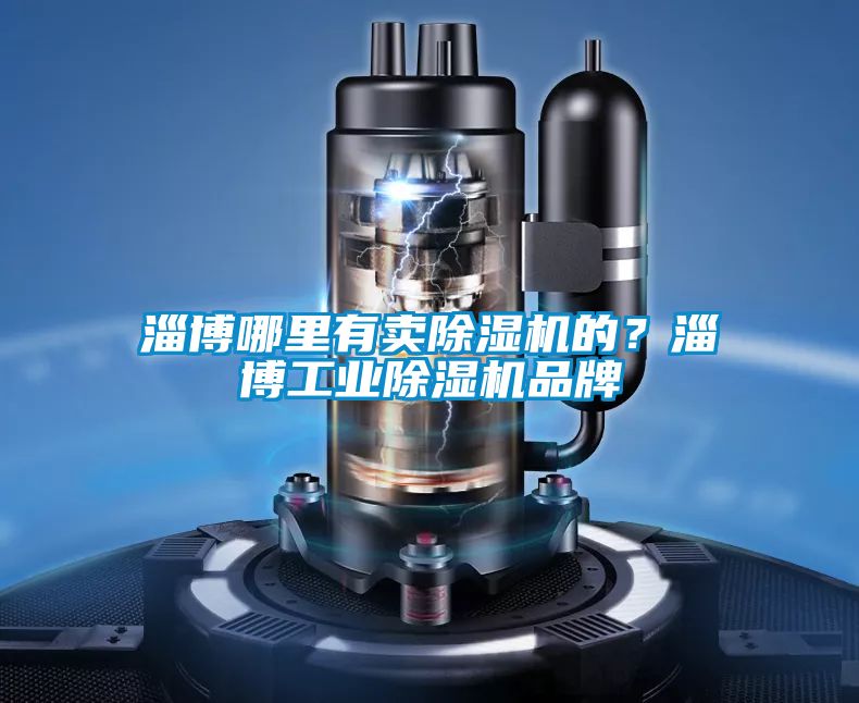 淄博哪里有賣除濕機的？淄博工業(yè)除濕機品牌