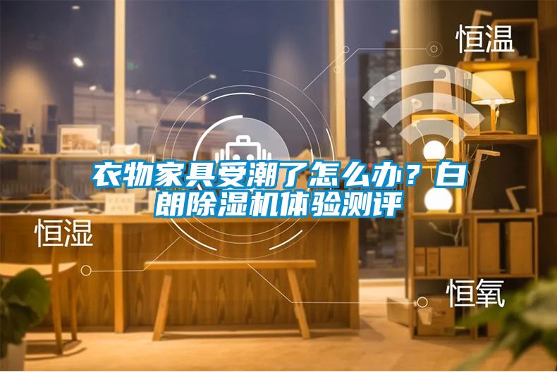 衣物家具受潮了怎么辦？白朗除濕機(jī)體驗(yàn)測(cè)評(píng)