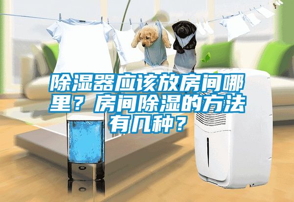 除濕器應(yīng)該放房間哪里？房間除濕的方法有幾種？