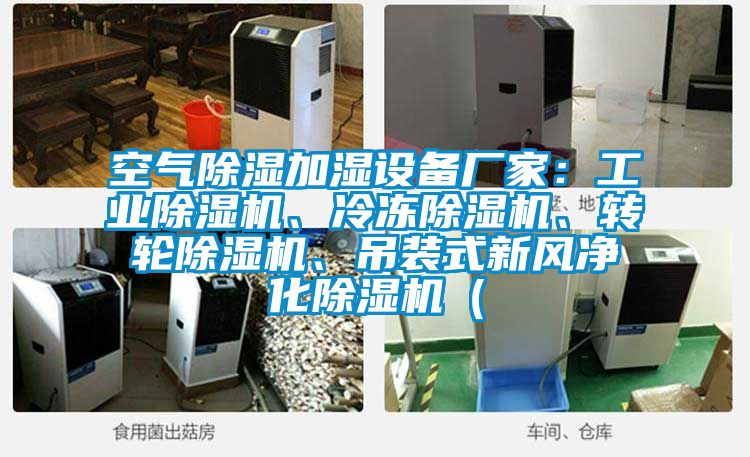 空氣除濕加濕設(shè)備廠家：工業(yè)除濕機(jī)、冷凍除濕機(jī)、轉(zhuǎn)輪除濕機(jī)、吊裝式新風(fēng)凈化除濕機(jī)（