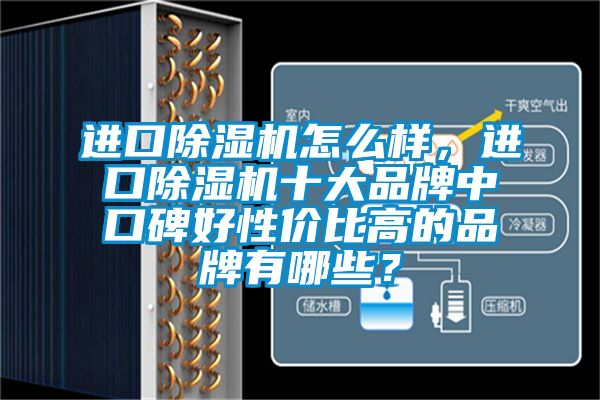 進(jìn)口除濕機(jī)怎么樣，進(jìn)口除濕機(jī)十大品牌中口碑好性價比高的品牌有哪些？