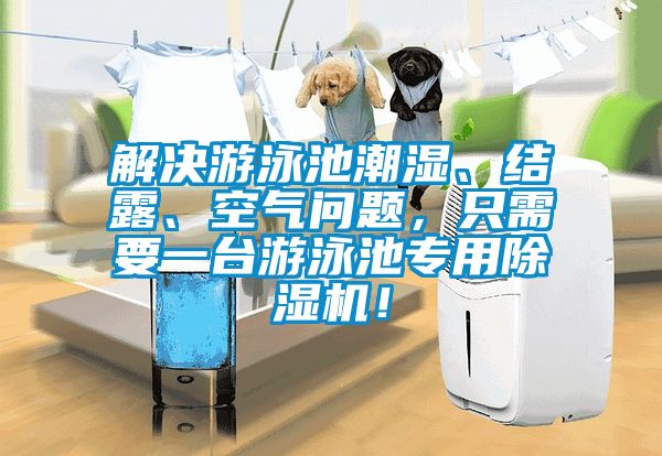 解決游泳池潮濕、結露、空氣問題，只需要一臺游泳池專用除濕機！