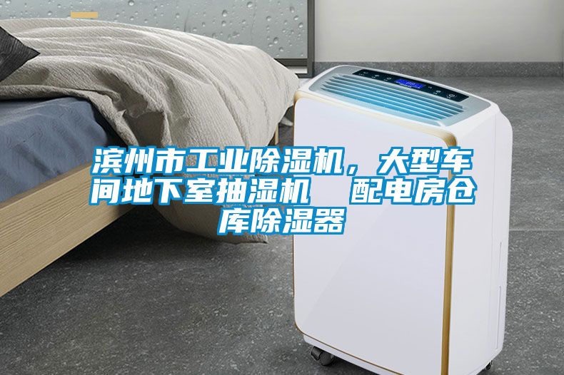 濱州市工業(yè)除濕機，大型車間地下室抽濕機  配電房倉庫除濕器