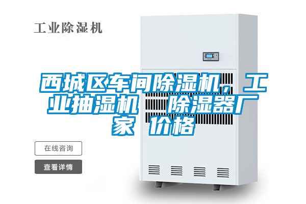 西城區(qū)車間除濕機，工業(yè)抽濕機  除濕器廠家 價格