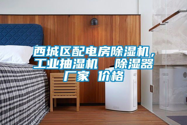 西城區(qū)配電房除濕機(jī)，工業(yè)抽濕機(jī)  除濕器廠家 價(jià)格