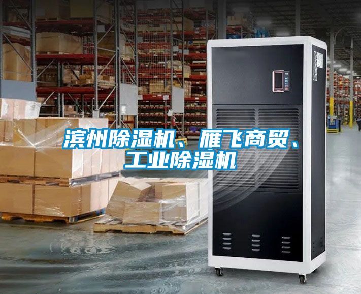 濱州除濕機(jī)、雁飛商貿(mào)、工業(yè)除濕機(jī)