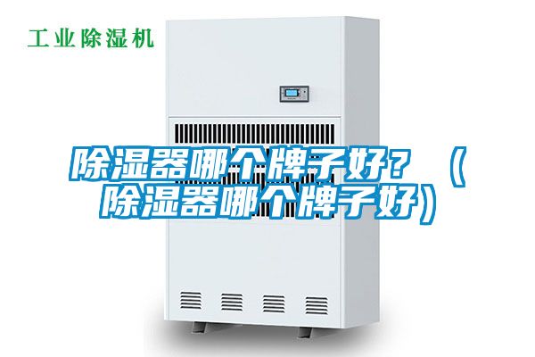 除濕器哪個(gè)牌子好？（除濕器哪個(gè)牌子好）