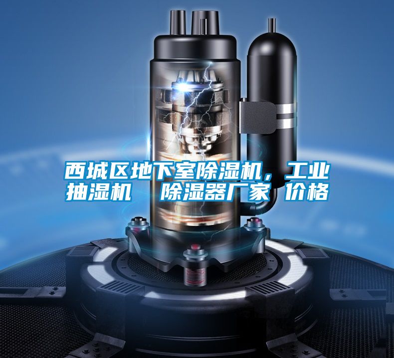 西城區(qū)地下室除濕機(jī)，工業(yè)抽濕機(jī)  除濕器廠家 價格