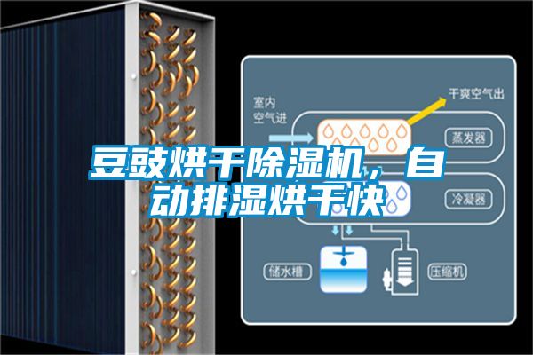 豆豉烘干除濕機(jī)，自動排濕烘干快