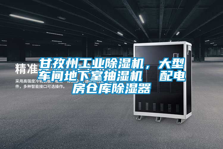 甘孜州工業(yè)除濕機，大型車間地下室抽濕機  配電房倉庫除濕器