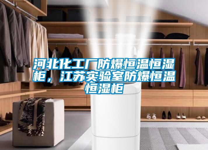 河北化工廠防爆恒溫恒濕柜，江蘇實(shí)驗(yàn)室防爆恒溫恒濕柜