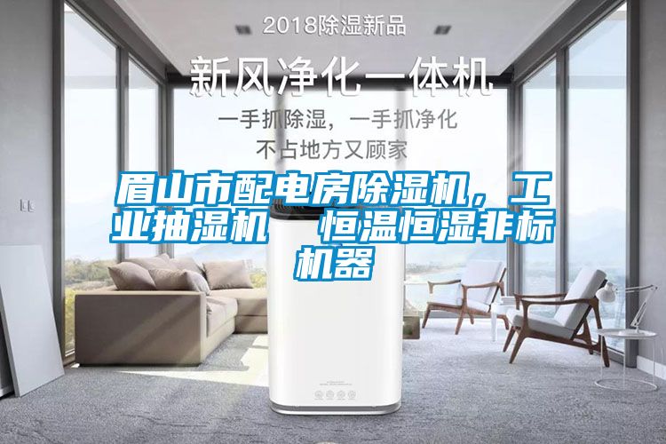 眉山市配電房除濕機(jī)，工業(yè)抽濕機(jī)  恒溫恒濕非標(biāo)機(jī)器