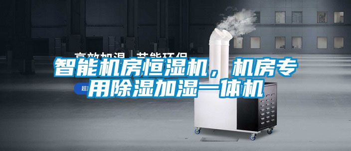 智能機房恒濕機，機房專用除濕加濕一體機